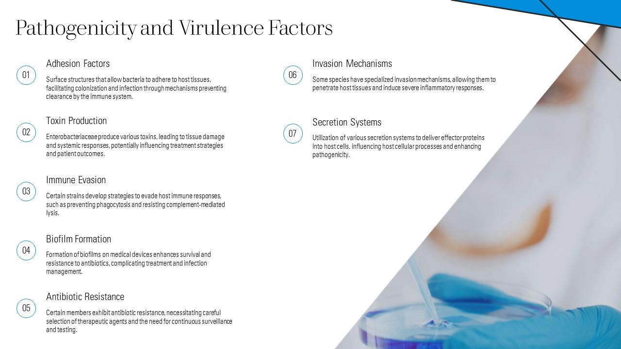 Pathogenicity And Virulence Factors Enterobacteriaceae PPT Template ST AI SS Pathogenicity And Virulence Factors Enterobacteriaceae PPT Template ST AI SS