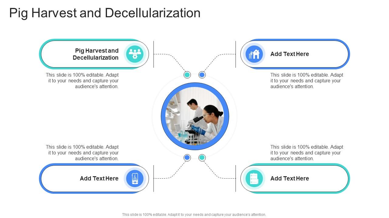Pig Harvest And Decellularization In Ppt Powerpoint Presentation Slide ...