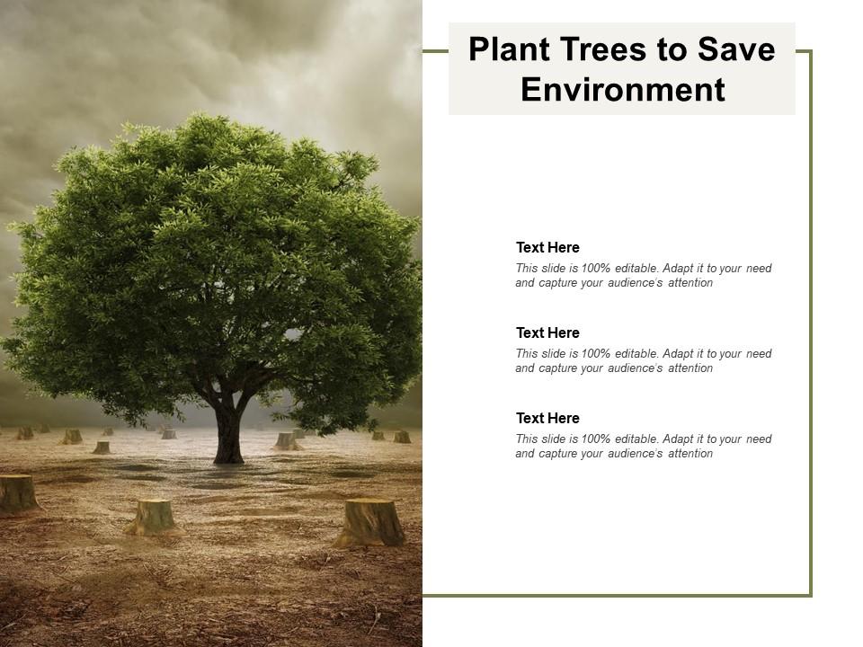 Plant trees to save environment