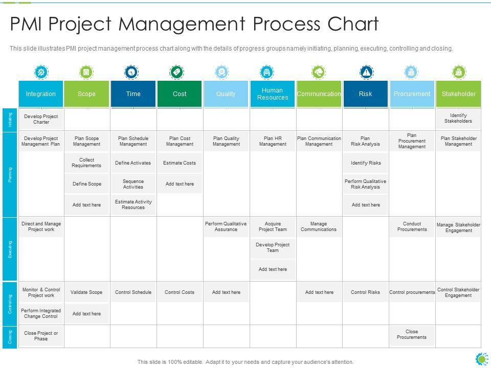 PMI Project Management Process Flow Chart