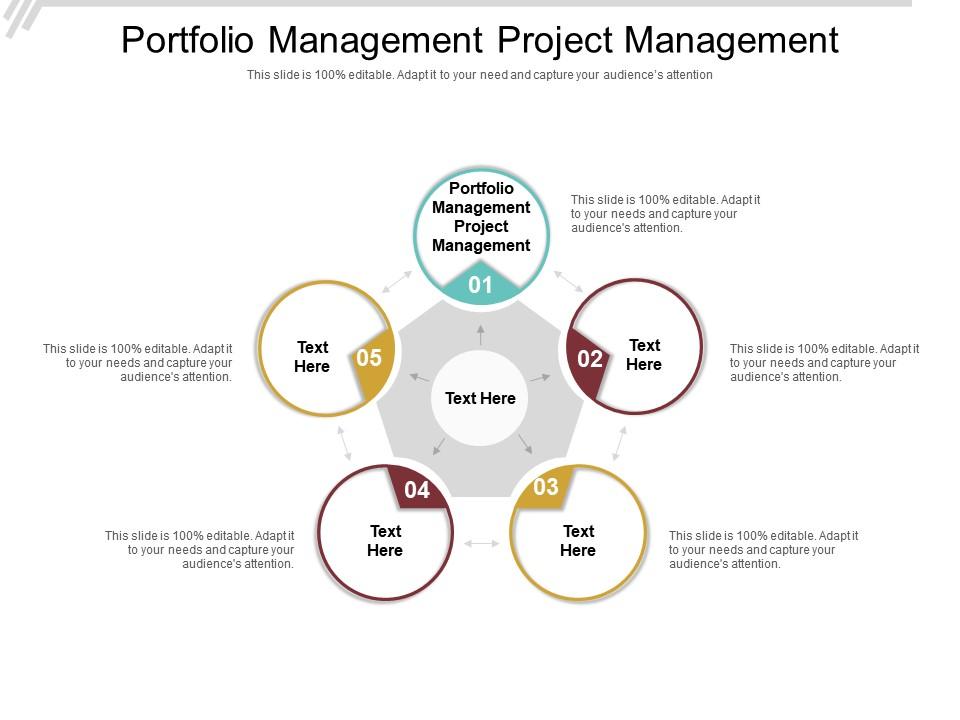 Portfolio Management Project Management Ppt Powerpoint Presentation ...