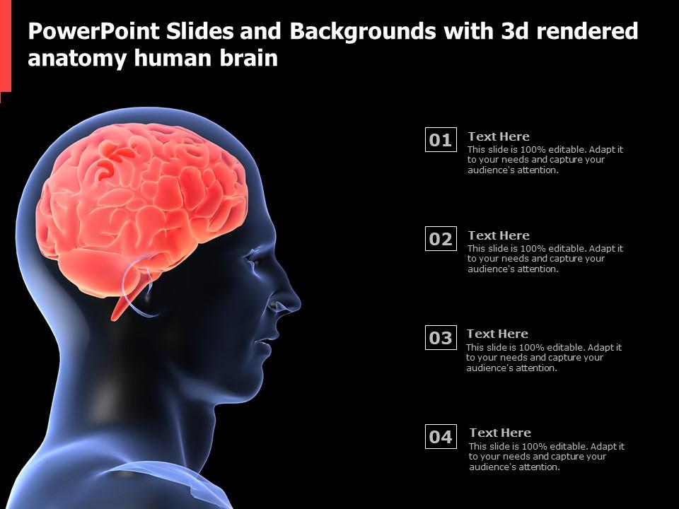 Powerpoint Slides And Backgrounds With 3d Rendered Anatomy Human Brain Powerpoint Slides And Backgrounds With 3d Rendered Anatomy Human Brain