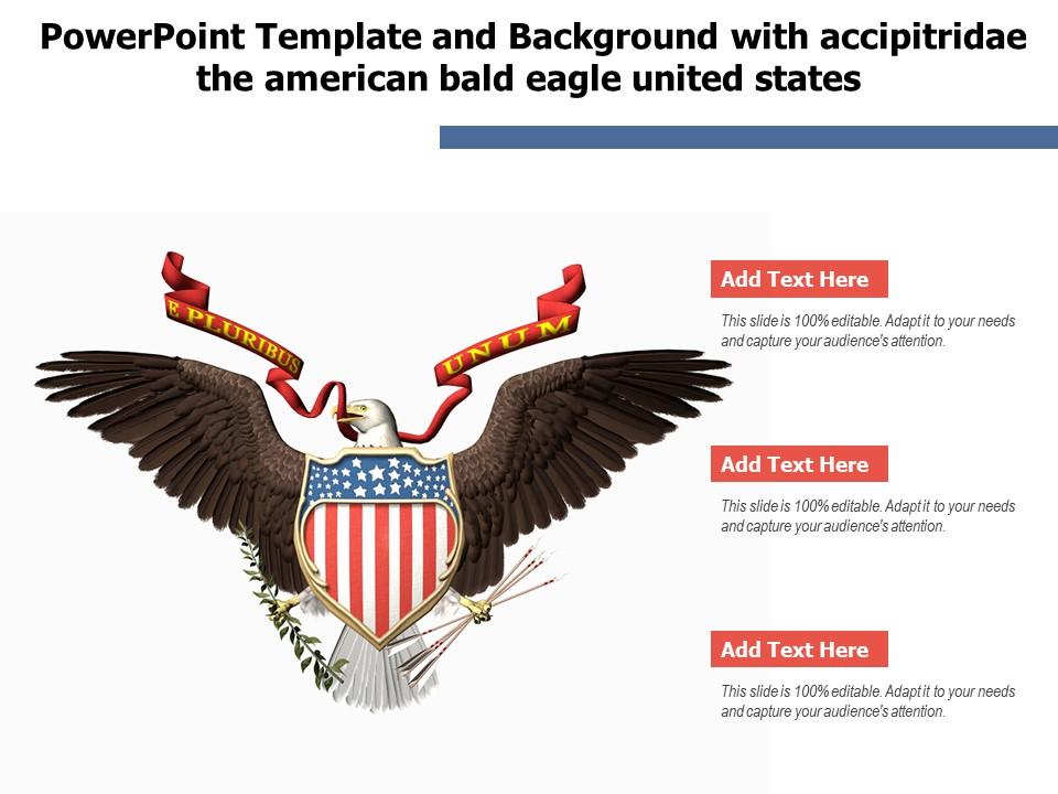 Powerpoint template and background with accipitridae the american bald eagle united states Slide00