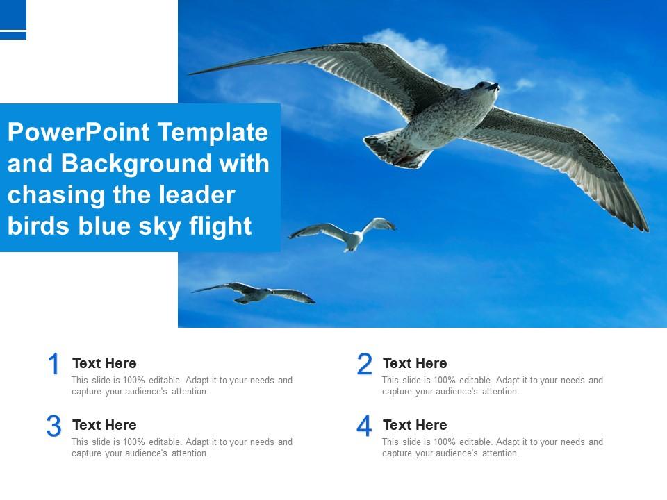 Powerpoint Template And Background With Chasing The Leader Birds Blue Sky  Flight | Presentation Graphics | Presentation PowerPoint Example | Slide  Templates
