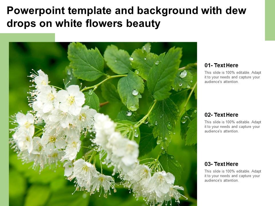 Powerpoint template and background with dew drops on white flowers beauty Slide00