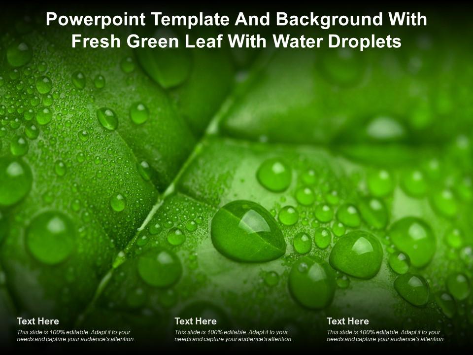 Powerpoint Template And Background With Fresh Green Leaf With Water  Droplets | Presentation Graphics | Presentation PowerPoint Example | Slide  Templates