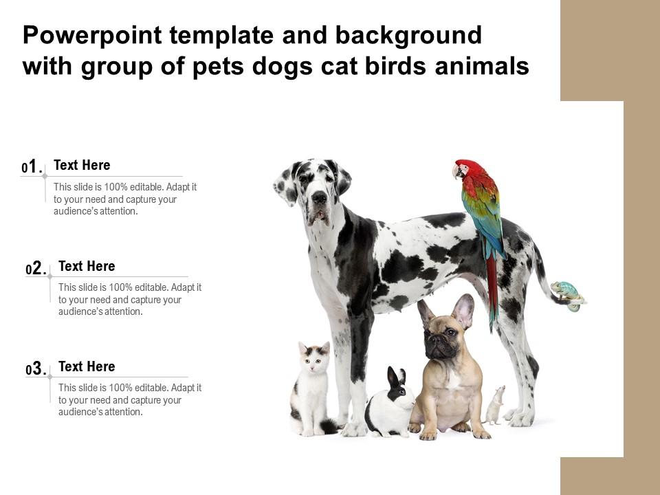 Powerpoint Template And Background With Group Of Pets Dogs Cat Birds Animals  | Presentation Graphics | Presentation PowerPoint Example | Slide Templates