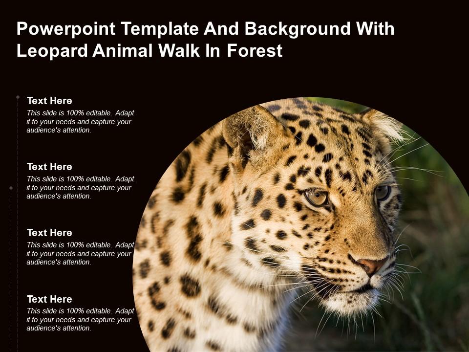 Powerpoint Template And Background With Leopard Animal Walk In Forest |  Presentation Graphics | Presentation PowerPoint Example | Slide Templates