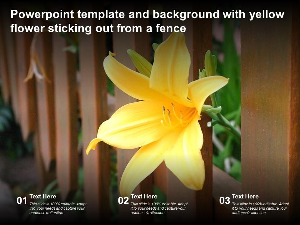 Powerpoint Template And Background With Yellow Flower Sticking Out From A  Fence | Presentation Graphics | Presentation PowerPoint Example | Slide  Templates