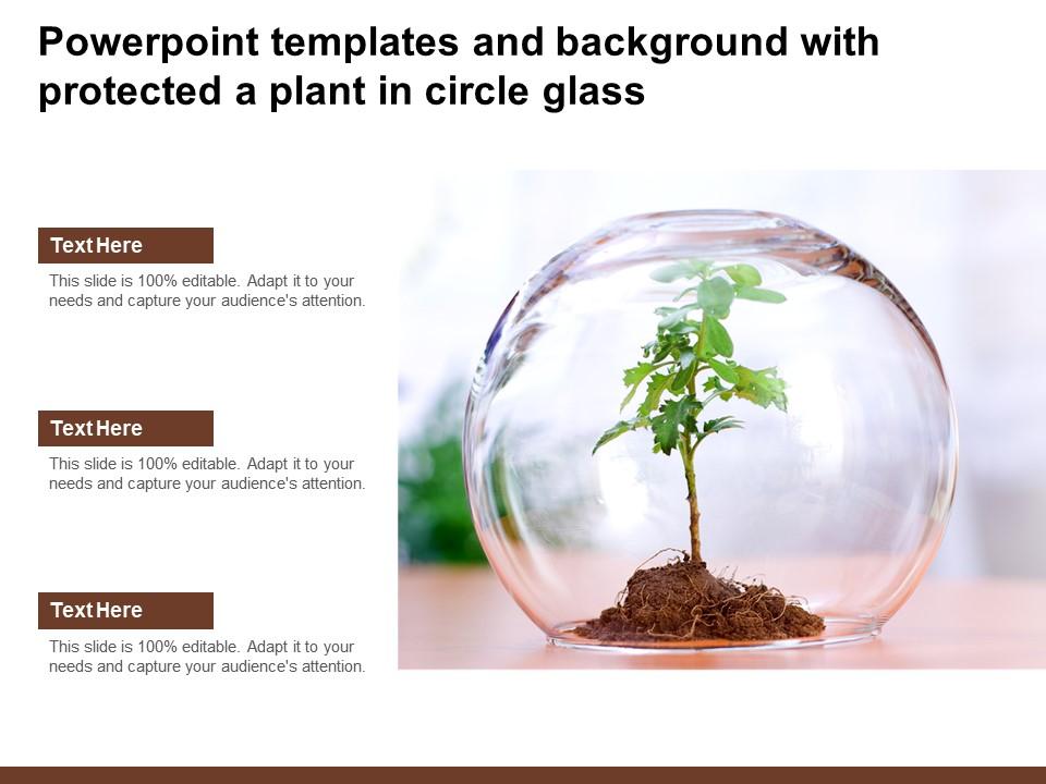 Powerpoint templates and background with protected a plant in circle glass Slide01