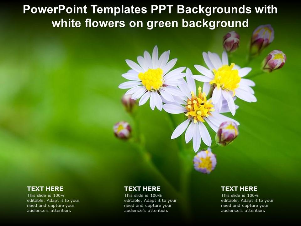 Powerpoint Templates Ppt Backgrounds With White Flowers On Green Background  | Presentation Graphics | Presentation PowerPoint Example | Slide Templates
