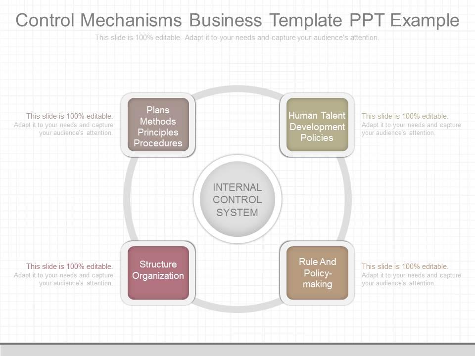 control mechanisms business plan
