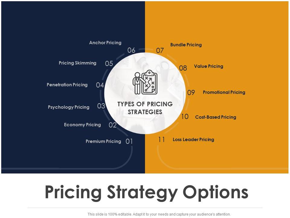 Pricing strategy options ppt powerpoint presentation model design