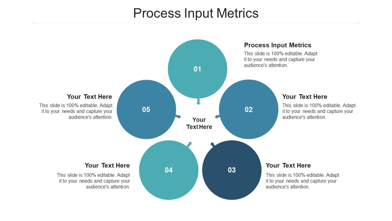 Process Input Metrics Ppt Powerpoint Presentation Professional Template ...