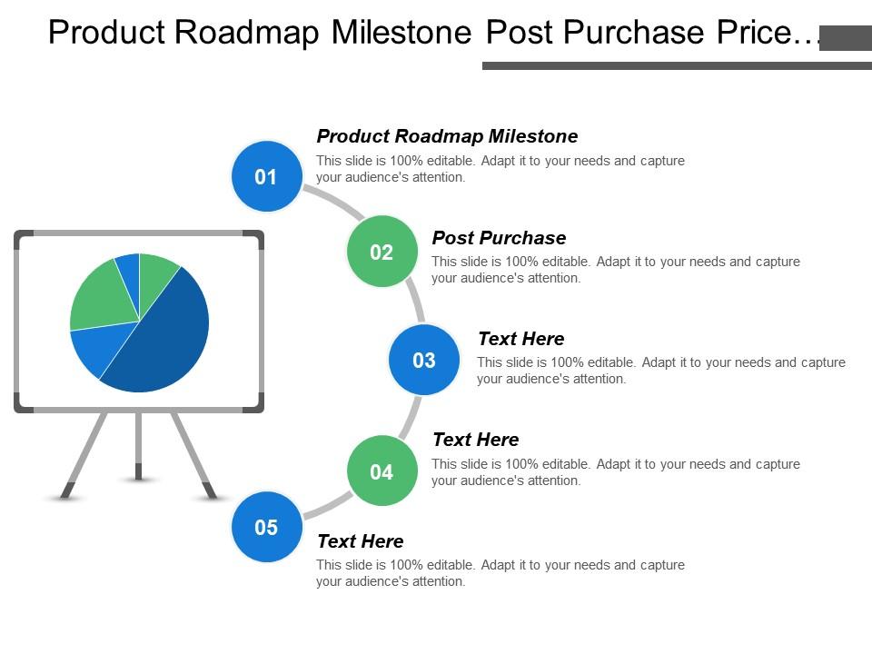 Product roadmap milestone post purchase price target market Slide01