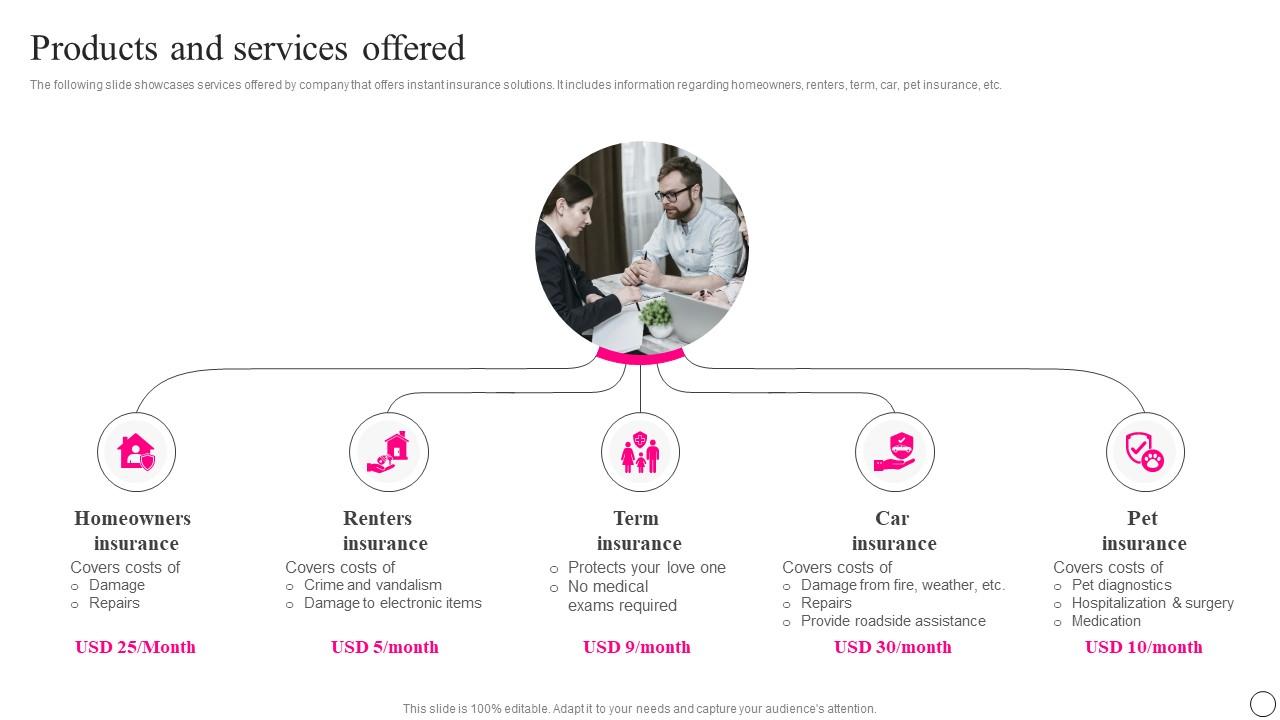 Products And Services Offered Lemonade Investor Funding Elevator Pitch Deck