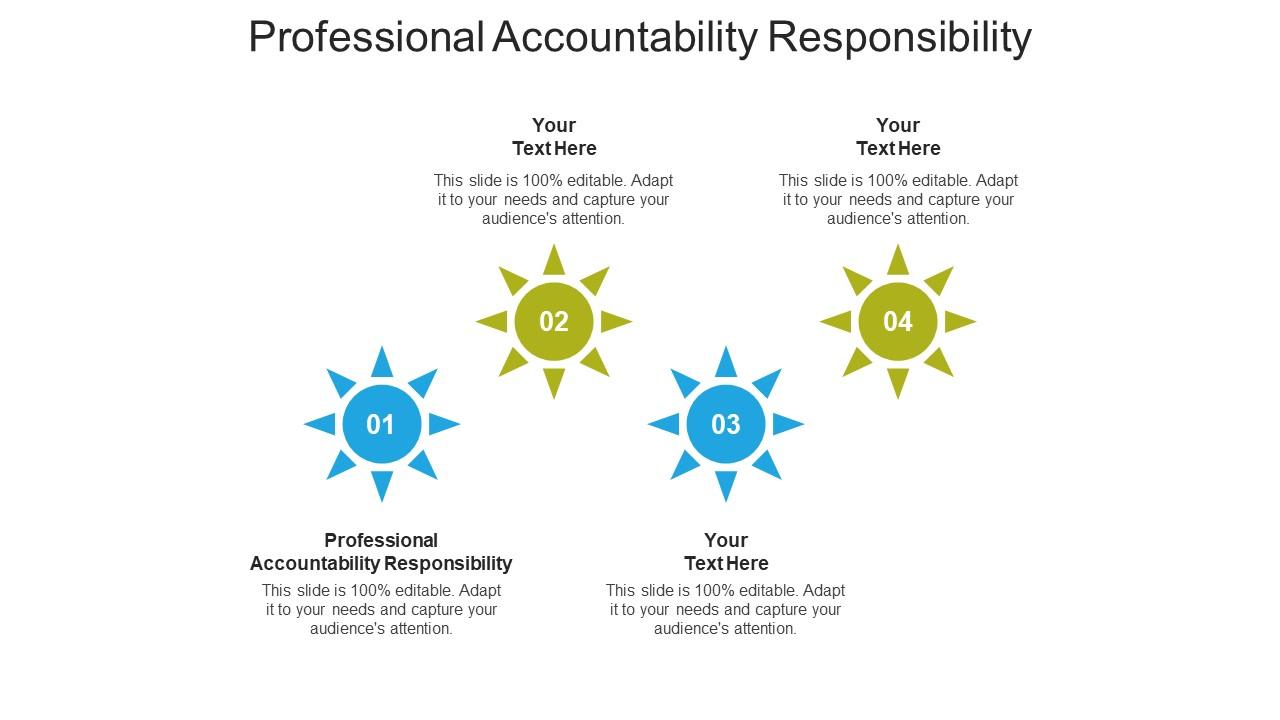 Professional accountability responsibility ppt powerpoint presentation ideas cpb