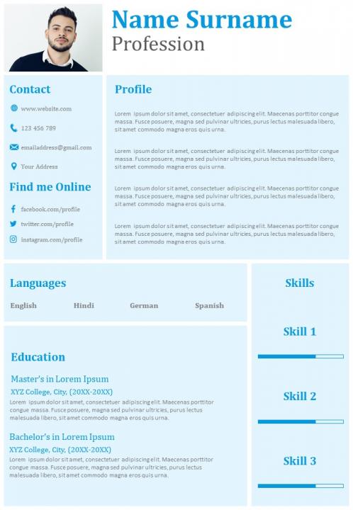 Professional resume sample with profile summary Slide01