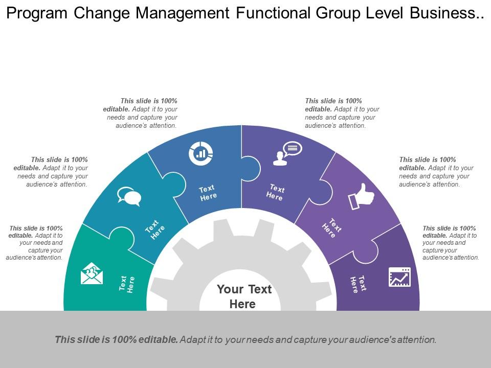 program_change_management_functional_group_level_business_structure_Slide01
