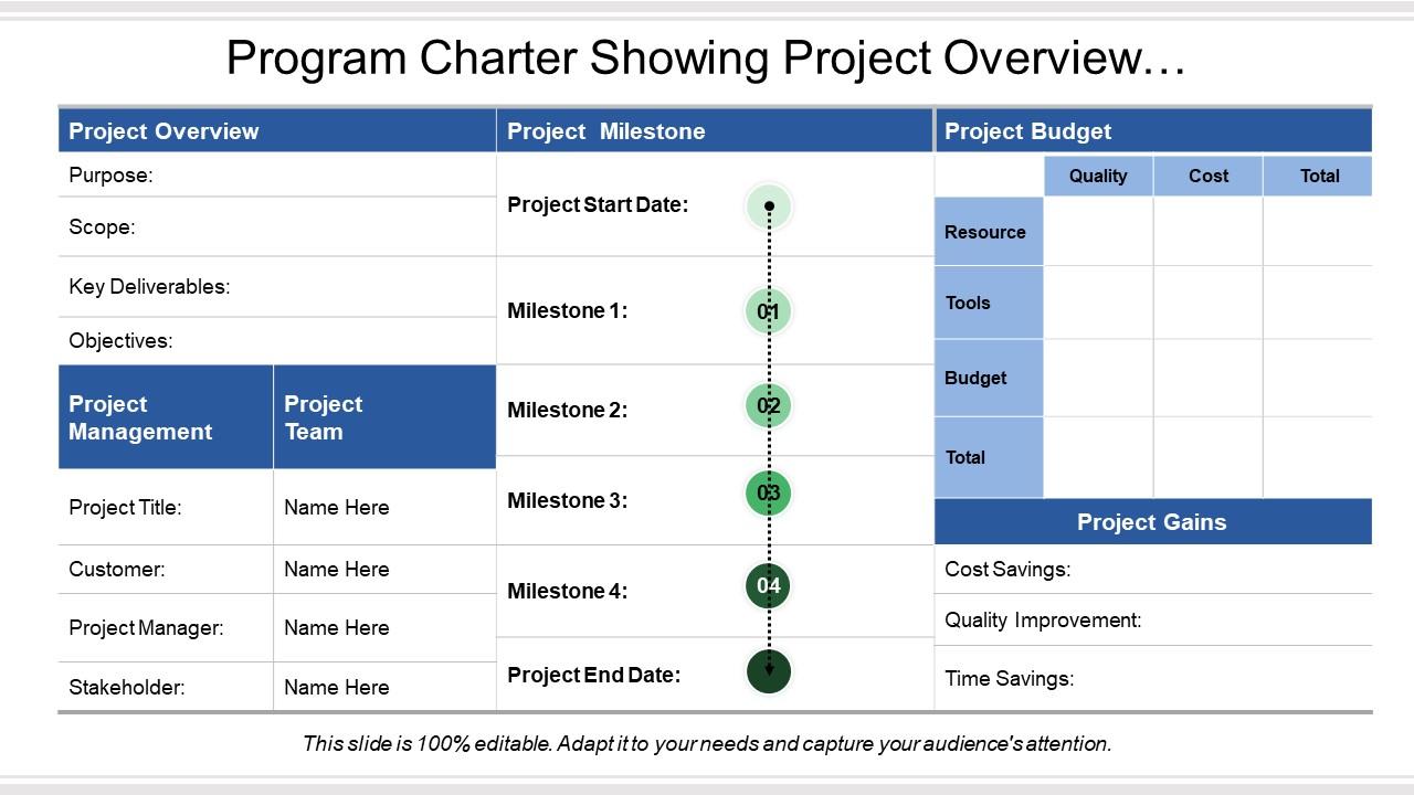 Program charter showing project overview management team and milestones