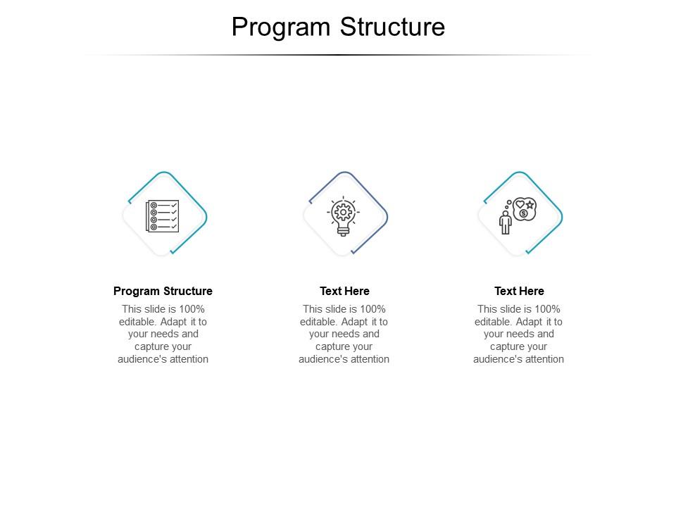 Program Structure Ppt Powerpoint Presentation Model Example File Cpb ...