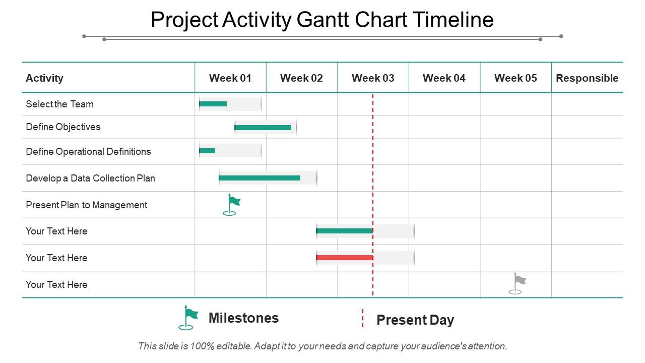 Project activity gantt chart timeline