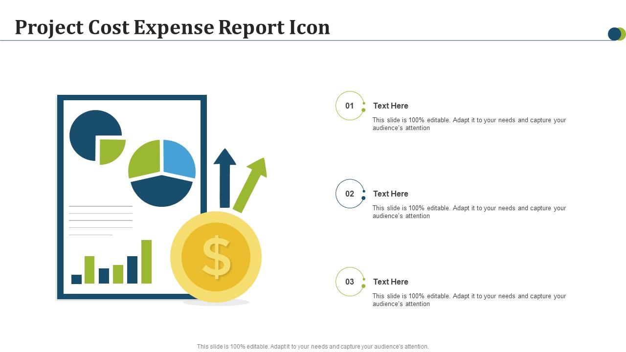 Project Cost Expense Report Icon Slide01