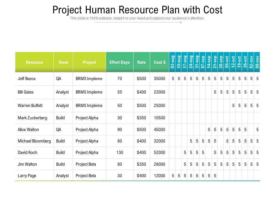 Project Human Resource Plan With Cost | Presentation Graphics ...