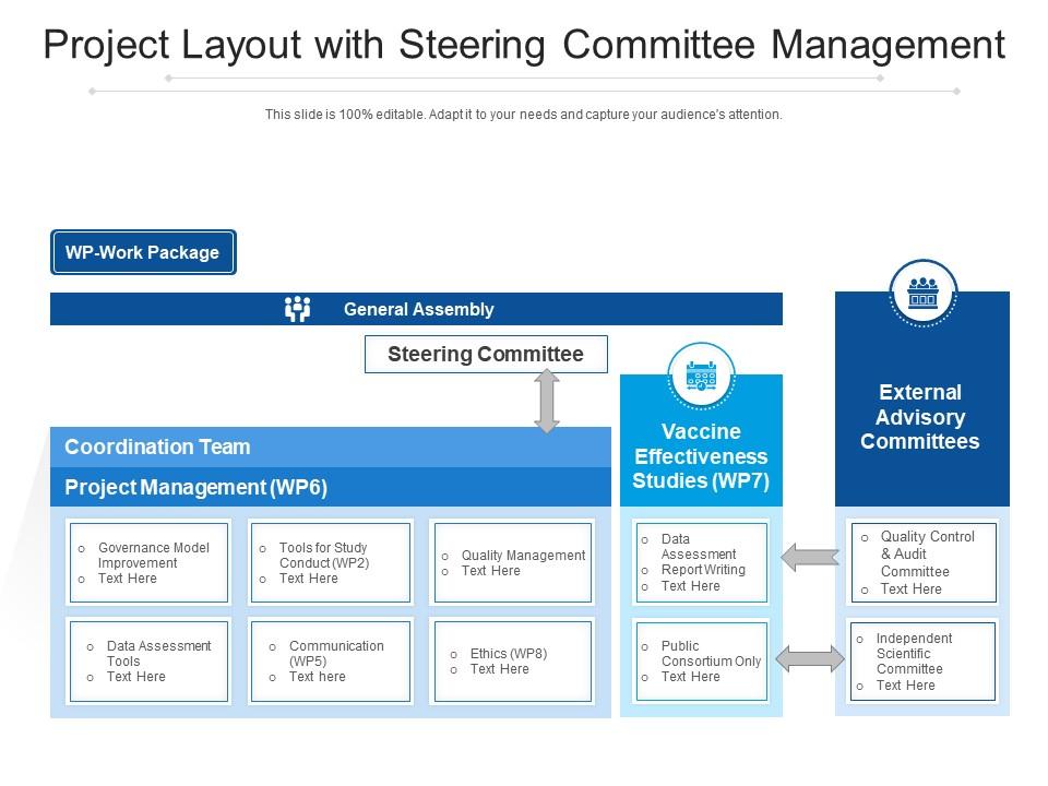 Project layout with steering committee management Slide00