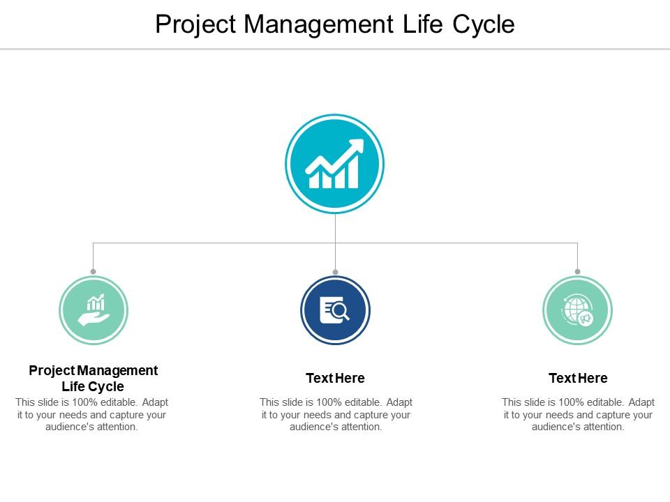 Project management life cycle ppt powerpoint presentation infographic template clipart images cpb Slide01