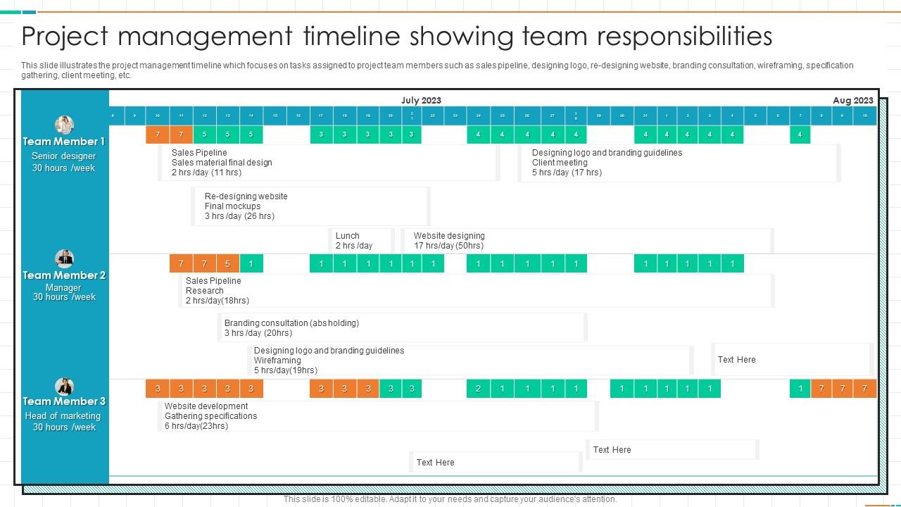 Project Management Timeline Showing Team Responsibilities Slide01