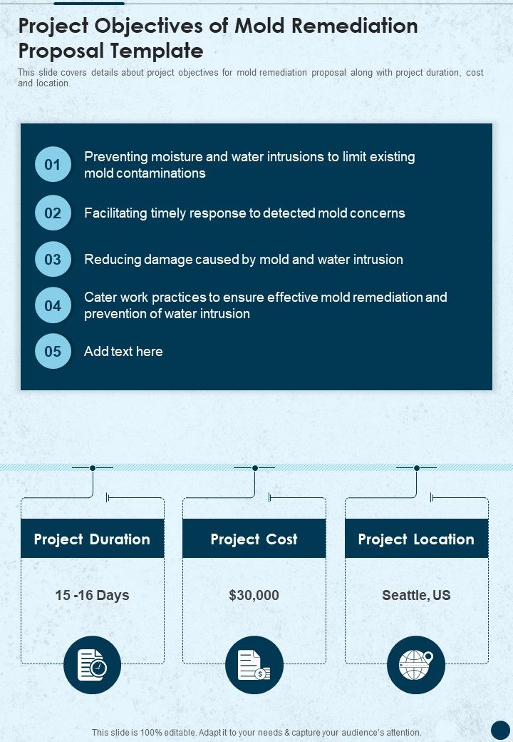 Project Objectives Of Mold Remediation Proposal Template One Pager
