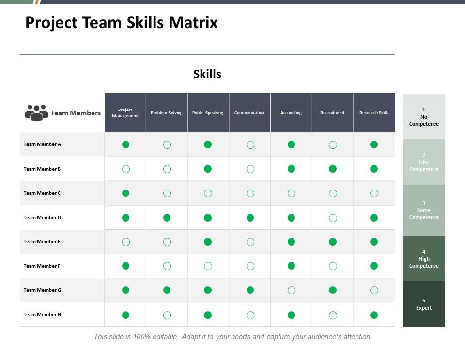 Project team skills matrix ppt slides pictures Slide01