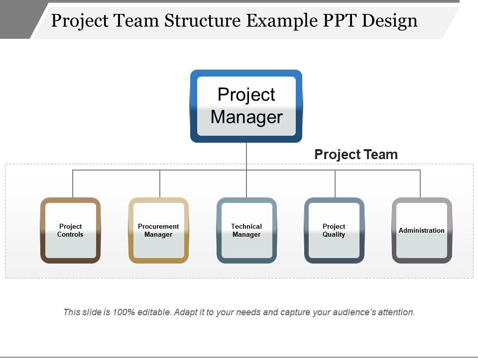 project_team_structure_example_ppt_design_Slide01