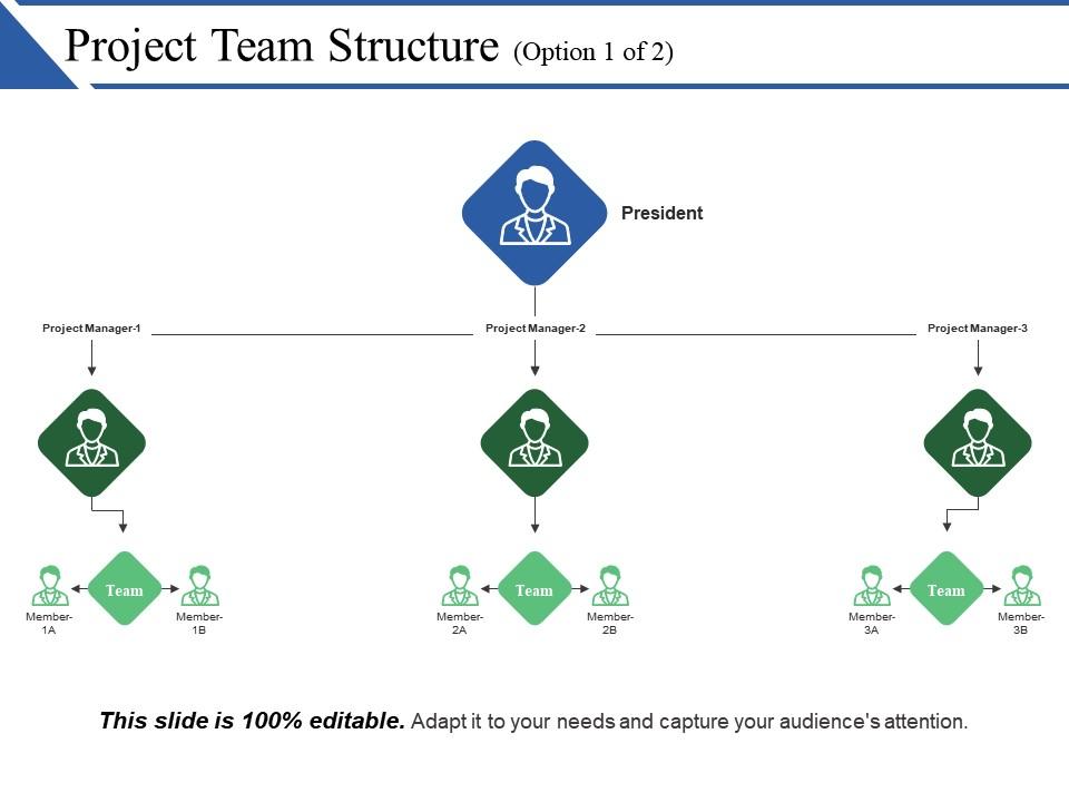 project_team_structure_powerpoint_presentation_examples_Slide01
