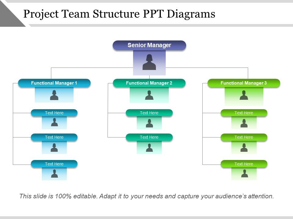 project_team_structure_ppt_diagrams_Slide01