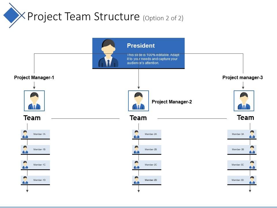 project_team_structure_ppt_model_Slide01