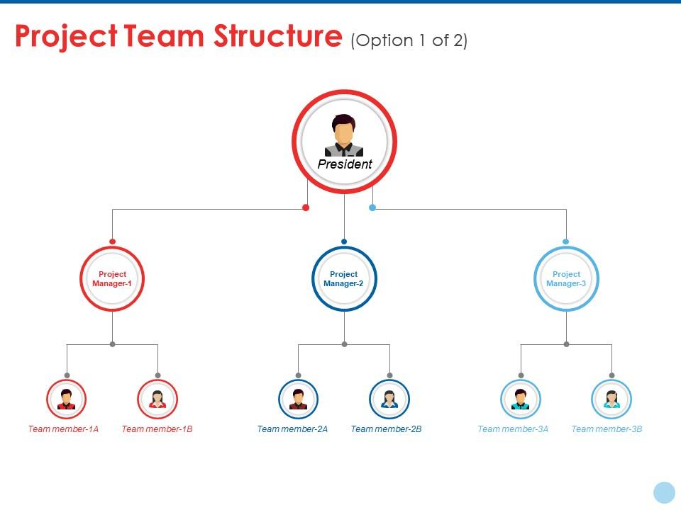 Project team structure ppt styles vector Slide01