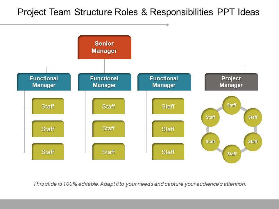 Project team structure roles and responsibilities ppt ideas Slide01