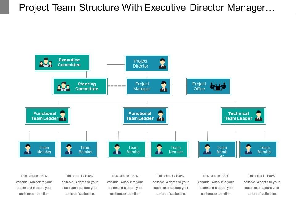 Project team structure with executive director manager officer leaders and members Slide01