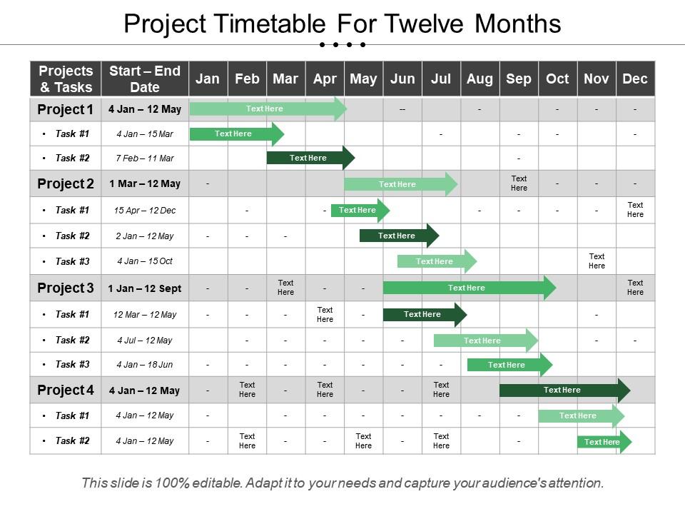 Project timetable for twelve months Slide00