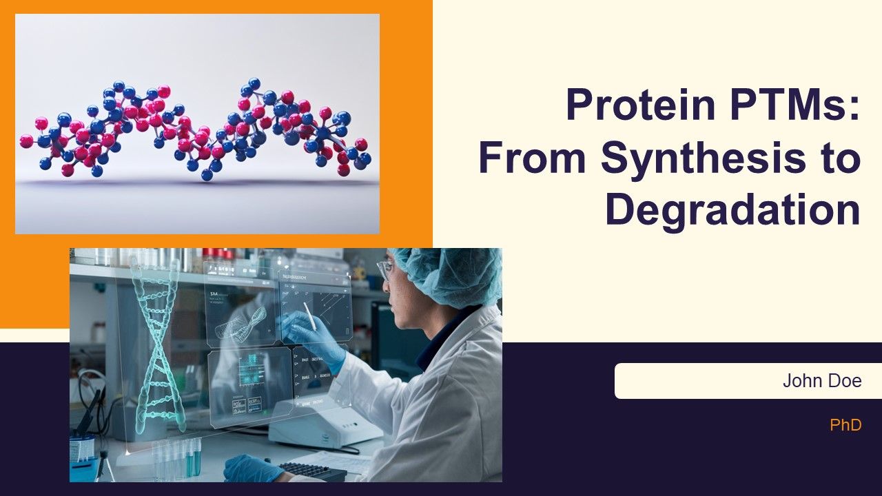 Protein Ptms From Synthesis To Degradation PPT Slides AT Protein Ptms From Synthesis To Degradation PPT Slides AT