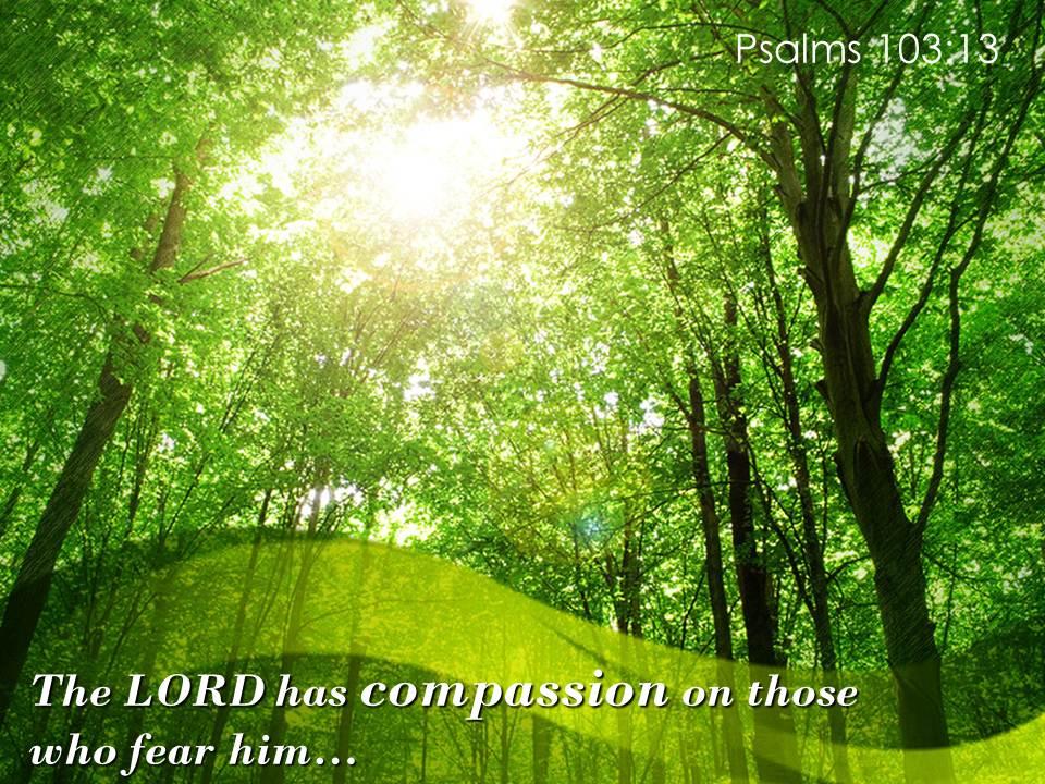 psalms_103_13_the_lord_has_compassion_on_those_powerpoint_church_sermon_Slide01