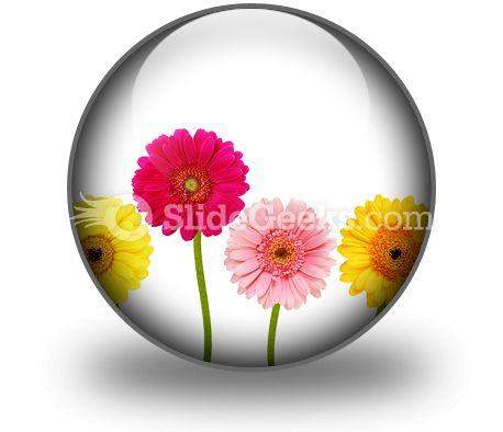Flowers Nature PowerPoint Icon C  Presentation Themes and Graphics Slide01