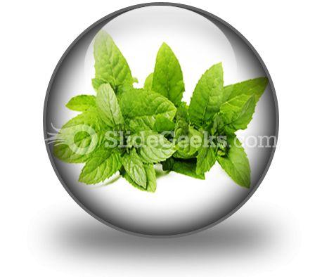 Fresh Green Mint Leaves PowerPoint Icon C  Presentation Themes and Graphics Slide01