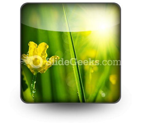 Wet Meadow Nature PowerPoint Icon S  Presentation Themes and Graphics Slide01