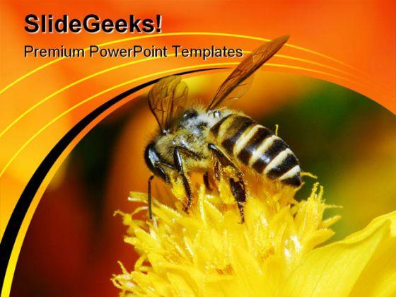 Bee And Flowers Nature PowerPoint Templates And PowerPoint Backgrounds 0211  Presentation Themes and Graphics Slide01