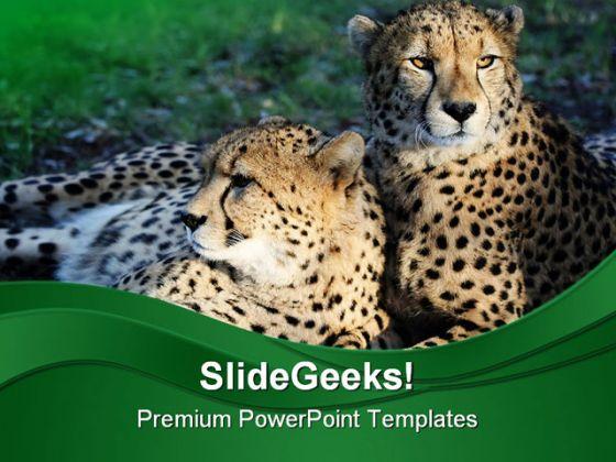 Cheetah wild cats animals powerpoint templates and powerpoint backgrounds 0211 Slide01