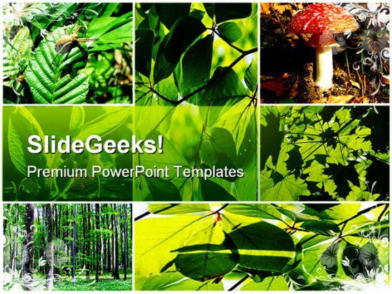 Green Summer Forest Collage Nature PowerPoint Templates And PowerPoint Backgrounds 0611  Presentation Themes and Graphics Slide01