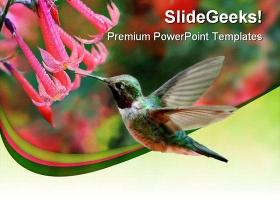Humming Bird Animals PowerPoint Templates And PowerPoint Backgrounds 0211  Presentation Themes and Graphics Slide01